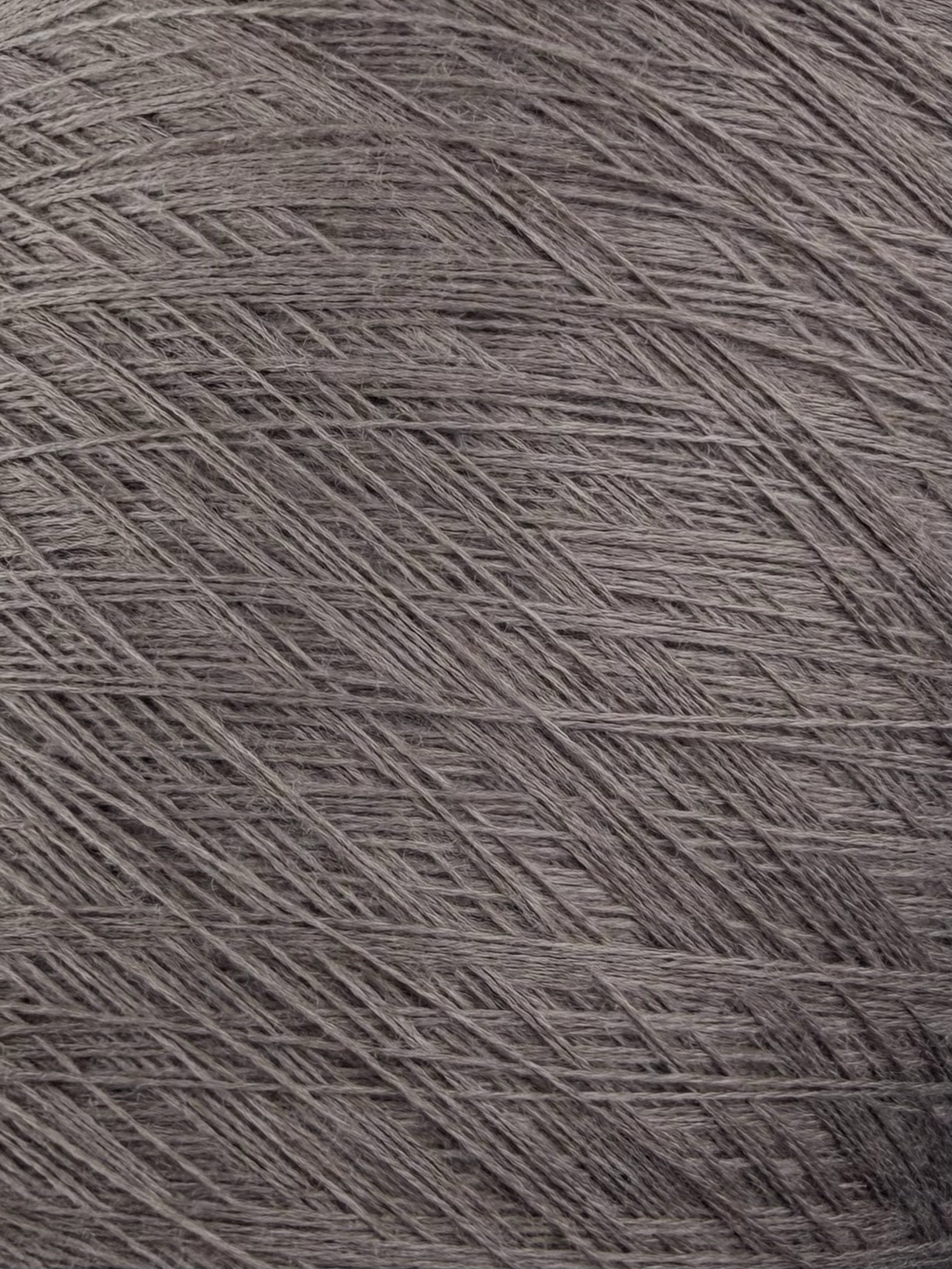 Tollegno 1900 Harmony Nm 2/30 – 100 % Merinowolle extrafein, col. Taupe